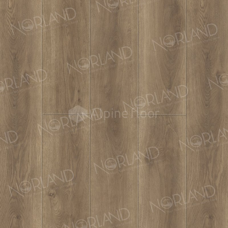SPC Ламинат "Norland" Tista (1220*196*8 мм) — купить в Энгельсе