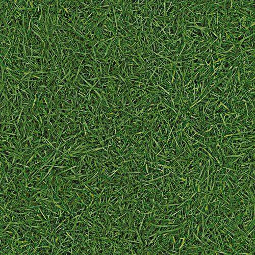 Линолеум бытовой "IVC" Neo Grass 25 (3м) — купить в Энгельсе