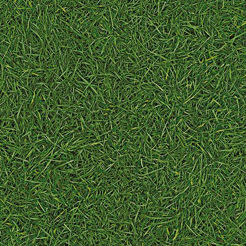 Линолеум бытовой "IVC" Bingo Grass 25 (3м) — купить в Энгельсе
