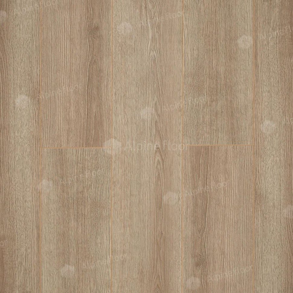 Ламинат "Camsan" Дуб Кашемир (1380*190*10 мм) — купить в Энгельсе