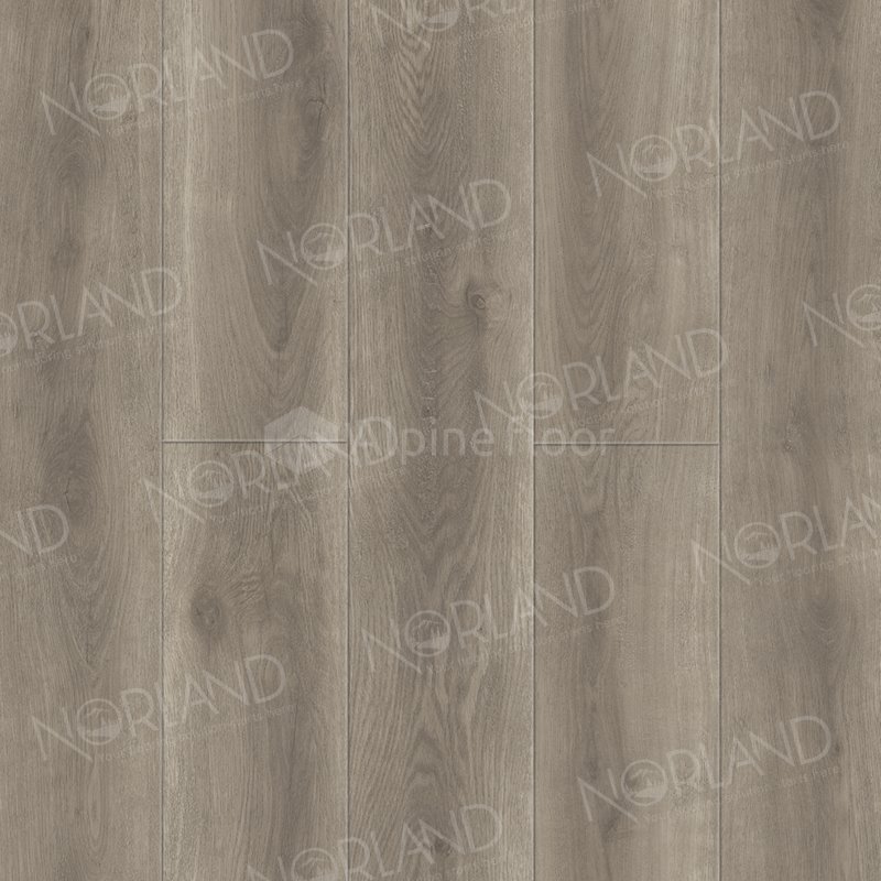 SPC Ламинат "Norland" Templet (1220*196*8 мм) — купить в Энгельсе